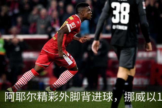 阿耶尔精彩外脚背进球，挪威以1-0战胜葡萄牙